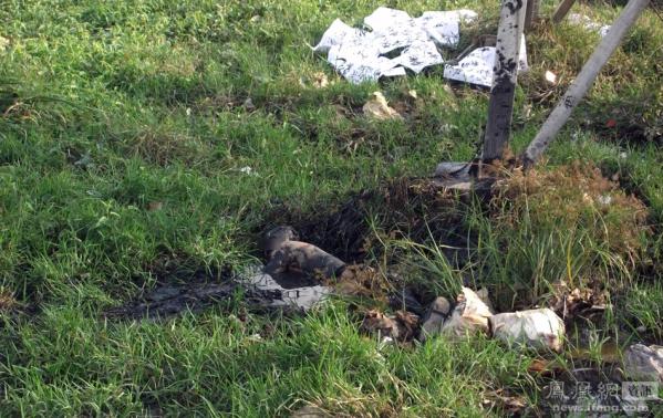 寰宇世界:新闻精选照片带你看世界(图)