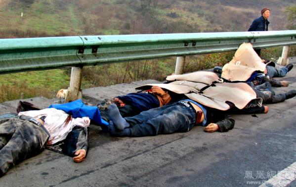 寰宇世界:新闻精选照片带你看世界(图)