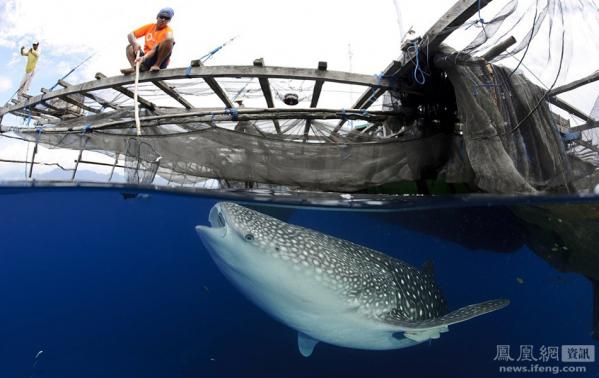 寰宇世界:新闻精选照片带你看世界(图)