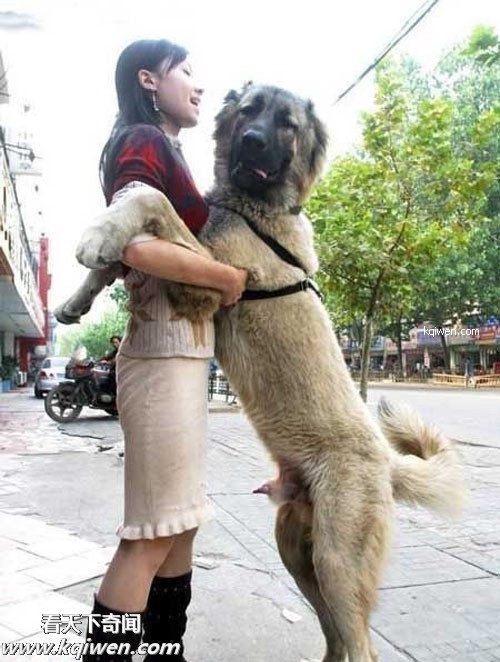 ‘色狗’性骚扰瞬间