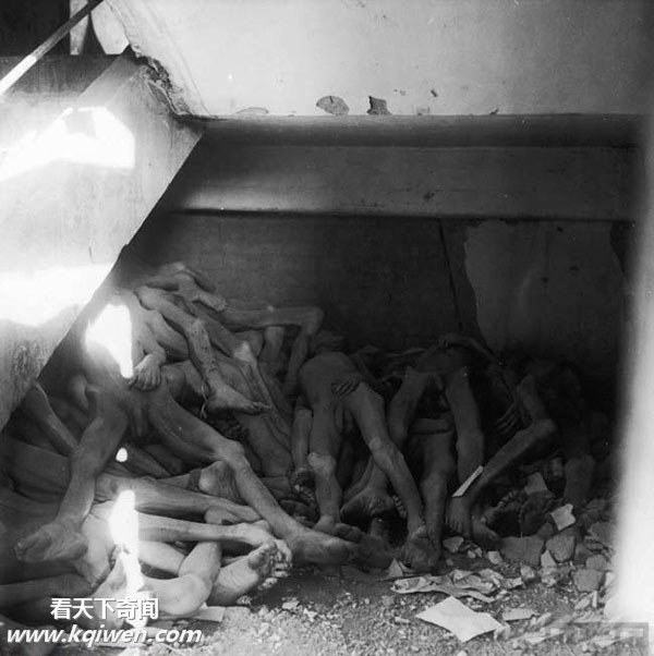 再现纳粹集中营惨状:美军解放后掩埋尸体(组图)