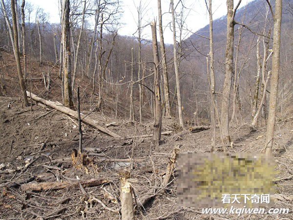 俄军投4吨弹药炸毁恐怖分子兵工厂 尸体残体满地(直击组图57P)